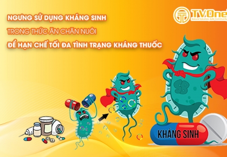 Ngưng sử dụng kháng sinh trong thức ăn chăn nuôi để hạn chế tối đa tình trạng kháng thuốc